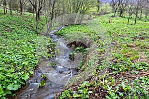 A fast stream in mountainous terrain. Water flowing in the river shown in a long exposure