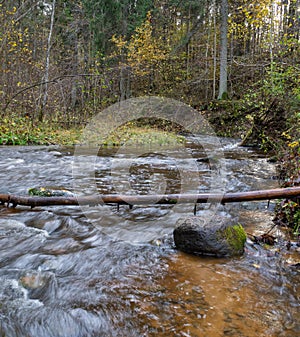 Fast stream on small river.