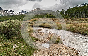 Fast streaming brook at Martial Mountains, Ushuaia, Argentina