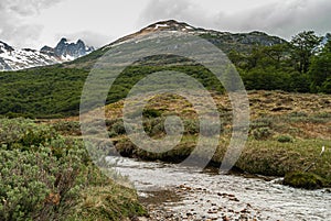 Fast streaming brook at Martial Mountains, Ushuaia, Argentina