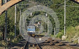 Fast train near bridge in Labe river valley