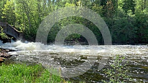 Fast water flow on a small dam on river in forest, sunny weather