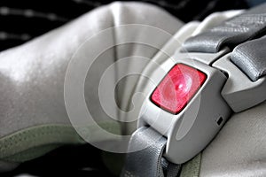 Fastened seat belt on baby car seat photo