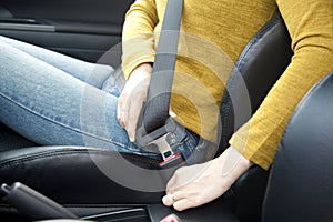 Fastening a seat belt photo