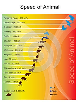 Fastest animals