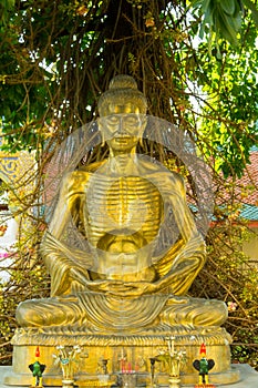 Fasting, emaciated, Golden buddha statue in Thai temple