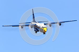 Fat Albert