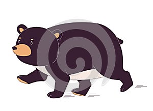 Fat bear running 2D linear cartoon character