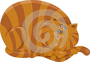 Fat cat character cartoon illustration
