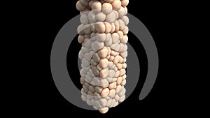 Fat cell cholesterol body for tissue design medical health concept