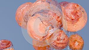 Fat cells, adipocyte and lipocyte, cholesterol in a cells,