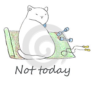 Fat funny white cat sitting with fitness accessories