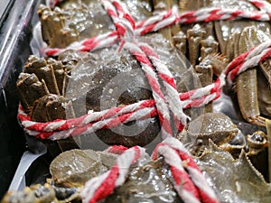 Hairy crabs are displayed and sold in the aquatic products area of the supermarket.