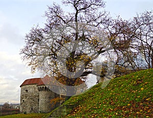 Fat Margaret Tower in Tallin, Estonia