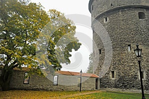 Fat Margarita is the tower of the Tallinn City Wall, located at the end of Pikk Street. The gun tower with 155 loopholes was built