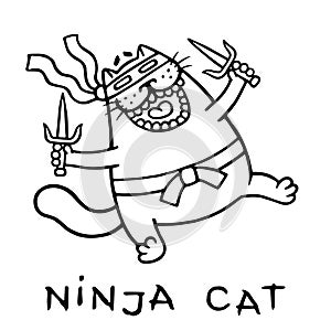 Fat ninja cat with two sais. Isolated vector illustration. photo