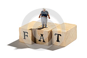 Fat, obesity and overweight concept with Fat Boy