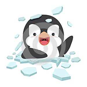 Fat Penguin on ice floe