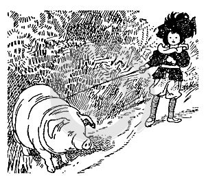 Fat pig, vintage illustration