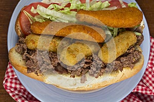 Fat Sandwich Cheesesteak