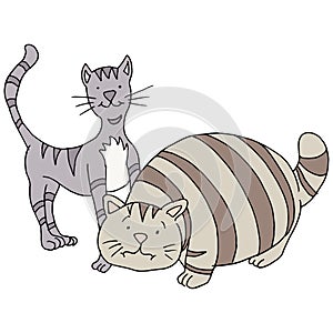 Fat And Skinny Cats