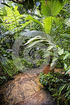 Fata Morgana greenhouse, botanical garden, Prague, Czech republic