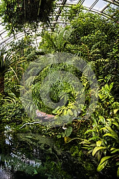 Fata Morgana greenhouse, botanical garden, Prague, Czech republic