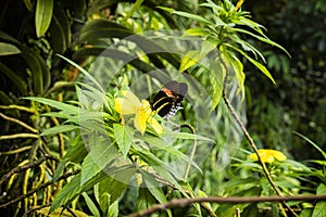 Fata Morgana greenhouse, botanical garden, Prague, Czech republic