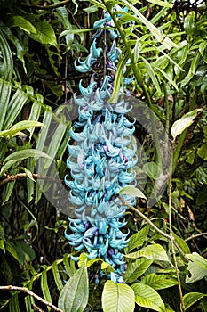 Fata Morgana greenhouse, botanical garden, Prague, Czech republic