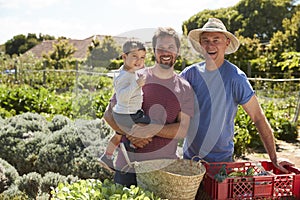 Father With Adult Son And Grandson Working On Allotment