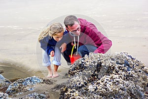 Father Child Explore Tide Pool Sea Life