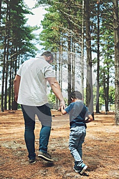 Father, child and hold hands on walk in forest, nature or woods together for adventure. Man, dad and kid by trees