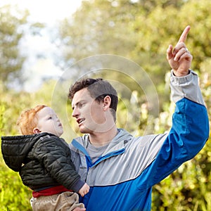 Father, child and pointing on hike in nature for teaching, learning or education of forest. Scotland, man and boy on