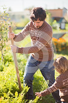 Father and child working in the garden.