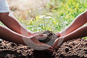 father and children helping planting small tree