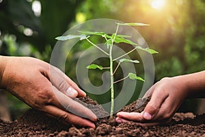 father and children helping planting young tree