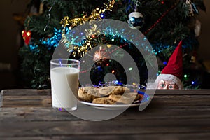 Father Christmas toy, cookies and milk