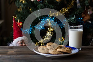 Father Christmas toy watching the cookies and the glass of milk