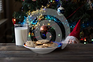 Father Christmas toy watching the cookies and the glass of milk