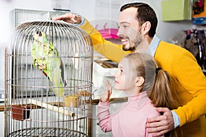 Father and daughter admiring large green parrot