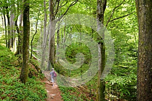 Father and daughter following a footpath around La Verna Sanctuary, Chiusi della Verna, in Casentino secular forest, one of the photo