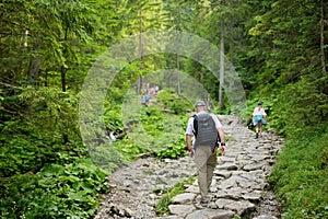 Father and daughter heading to Siklawica Waterfall in Strazyska Valley in Tatra Mountain range, Poland