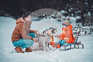 Father with daughter on a walk in the woods, daughter sitting on a sleigh and playing with a husky, a cheerful family with a dog