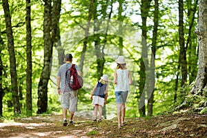 Father and daughters following a footpath around La Verna Sanctuary, Chiusi della Verna, in Casentino secular forest, one of the