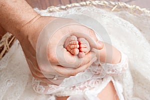 Father or doctor massaging small baby`s foot.  Newborn baby feet in mother hands in white background.  Mother gently holding legs