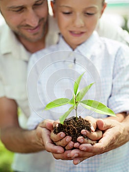 Father educate son to care a plant photo