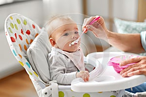 Father feeding baby sitting in highchair at home