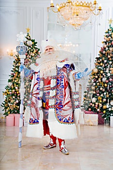 Father Frost in traditional costume with stick staff. room with christmas trees