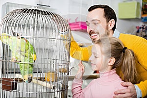 Father and girl looking at green parrot in pet store