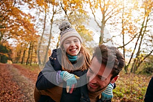 Father Giving Laughing Daughter Piggyback Ride On Family Walk Through Autumn Woodland